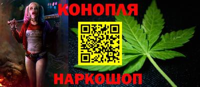 сатива Усть-Джегута