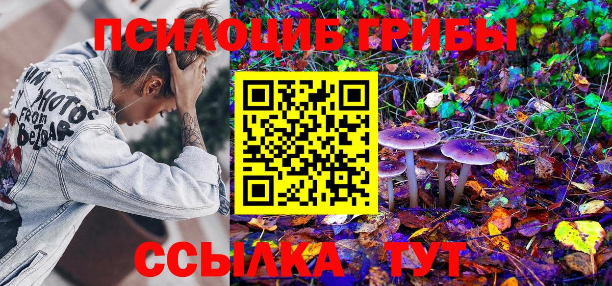 Вязьма  Псилоцибиновые грибы MAGIC MUSHROOMS  Галлюциногенные грибы прущие грибы  Вход с VPN 