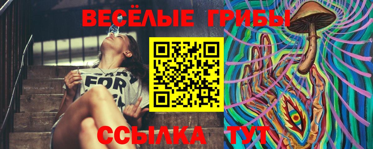 Галлюциногенные грибы прущие грибы Вязьма